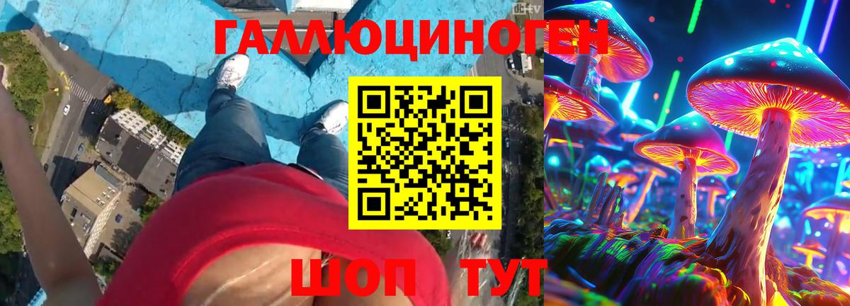 Галлюциногенные грибы мицелий Михайловка